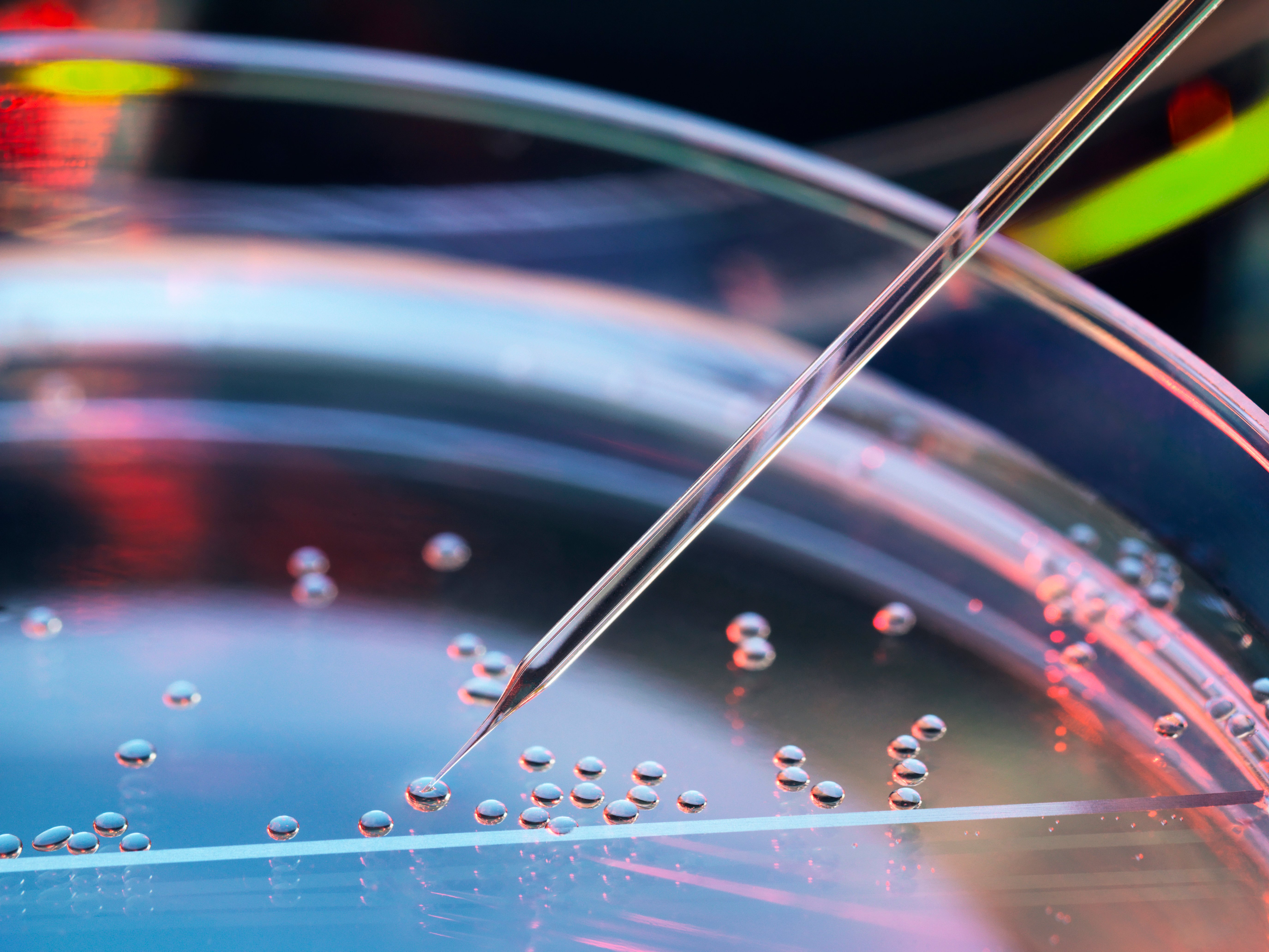 GettyImages-961109594-Dropper_Closeup-RET-1